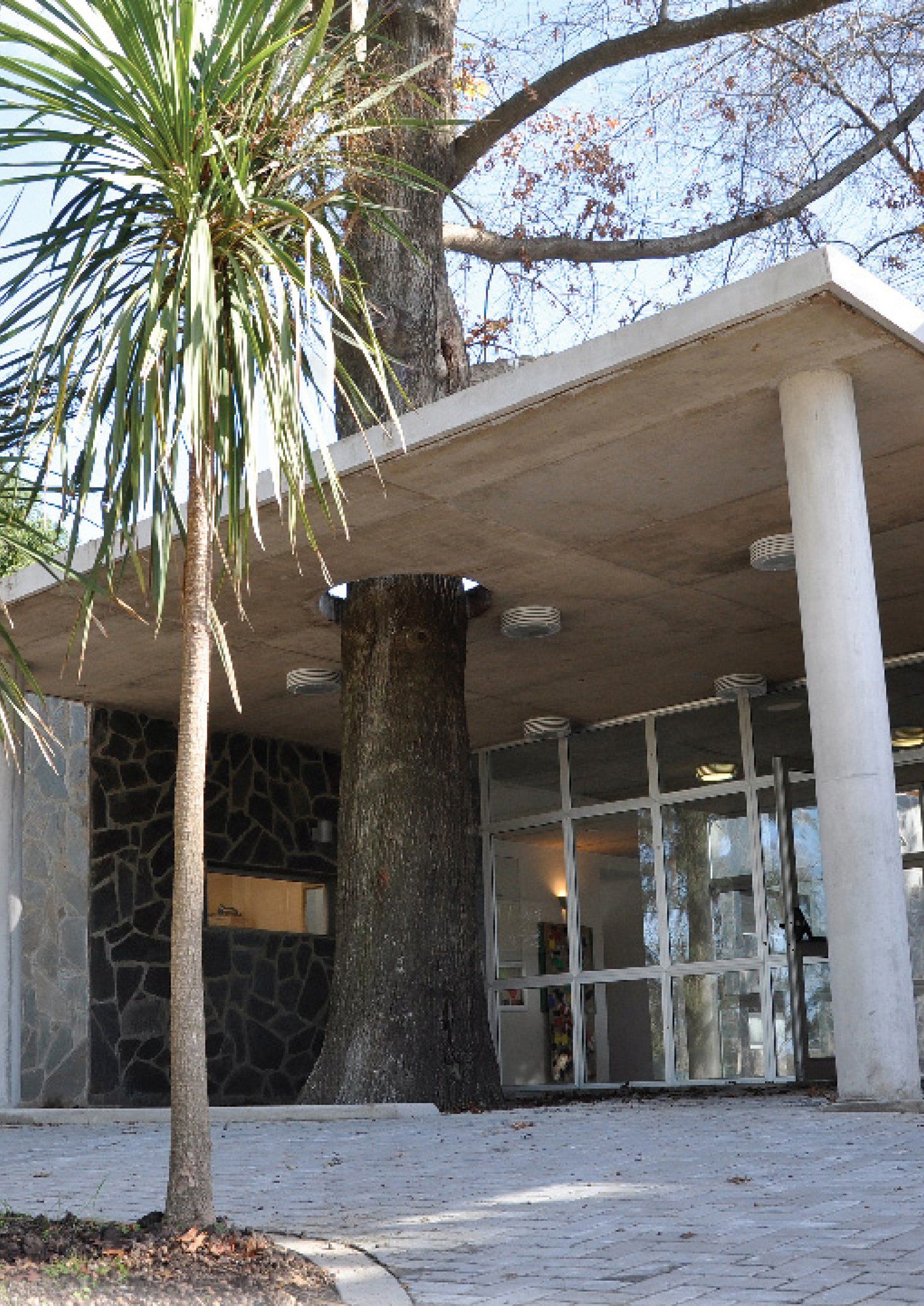 Entrada del edificio del colegio, con la palmera del frente